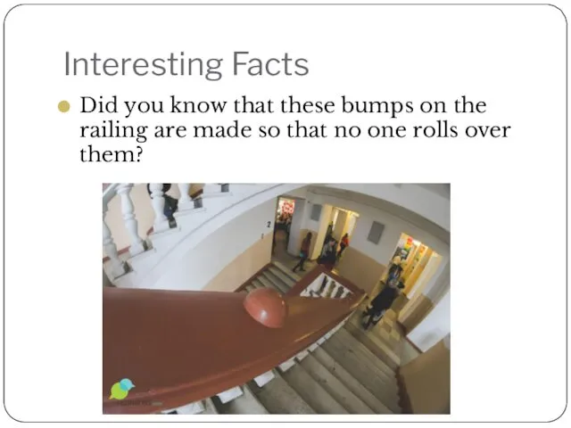 Interesting Facts Did you know that these bumps on the