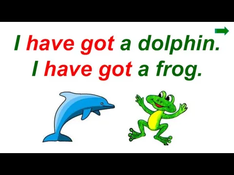 I have got a dolphin. I have got a frog.
