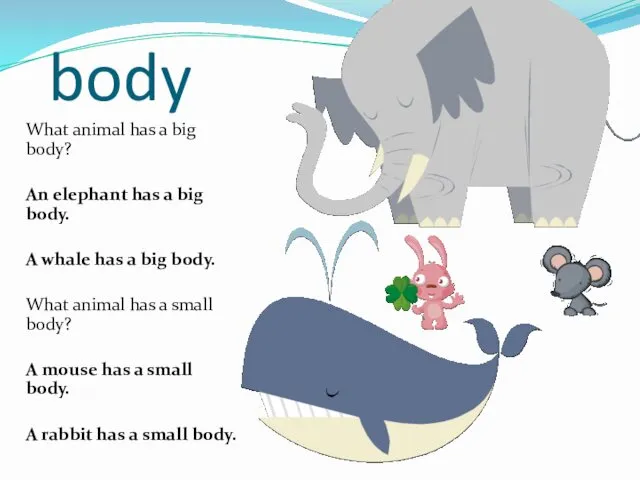 body What animal has a big body? An elephant has