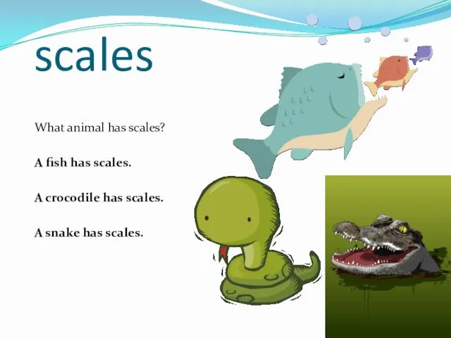 scales What animal has scales? A fish has scales. A