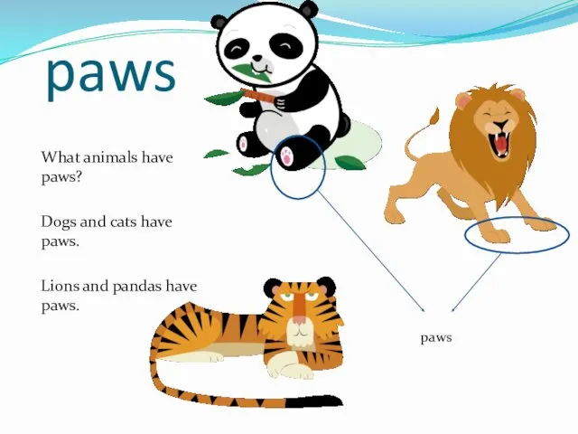 paws What animals have paws? Dogs and cats have paws. Lions and pandas have paws. paws