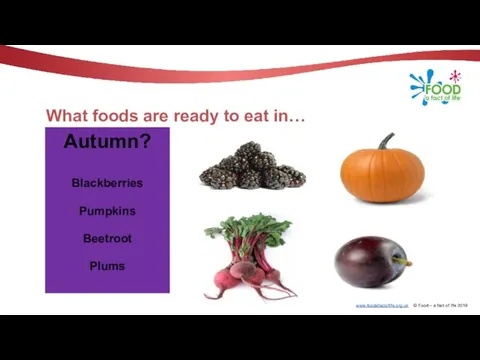 What foods are ready to eat in… Autumn? Blackberries Pumpkins Beetroot Plums