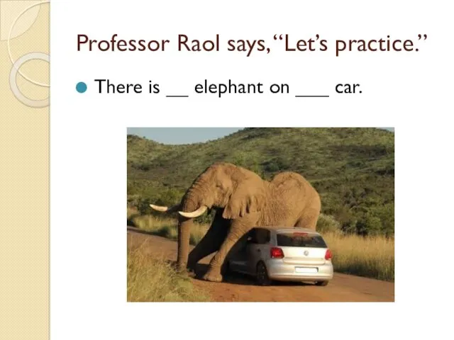 Professor Raol says, “Let’s practice.” There is __ elephant on ___ car.