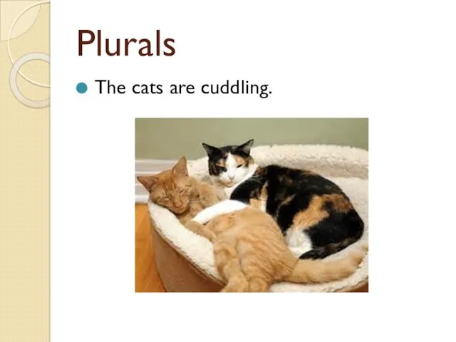 Plurals The cats are cuddling.