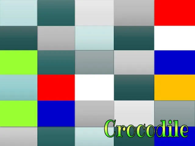 Crocodile