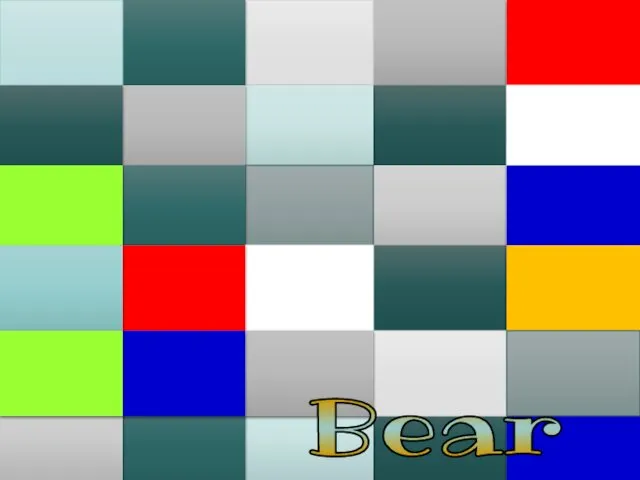 Bear