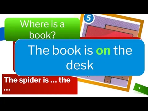 The spider is … the … Where is a spider?