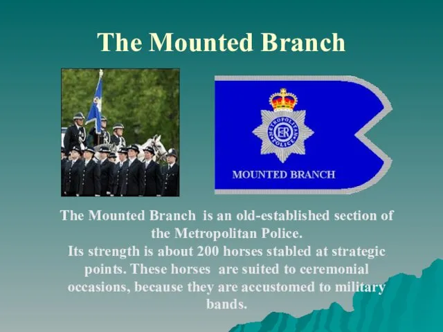 The Mounted Branch The Mounted Branch is an old-established section