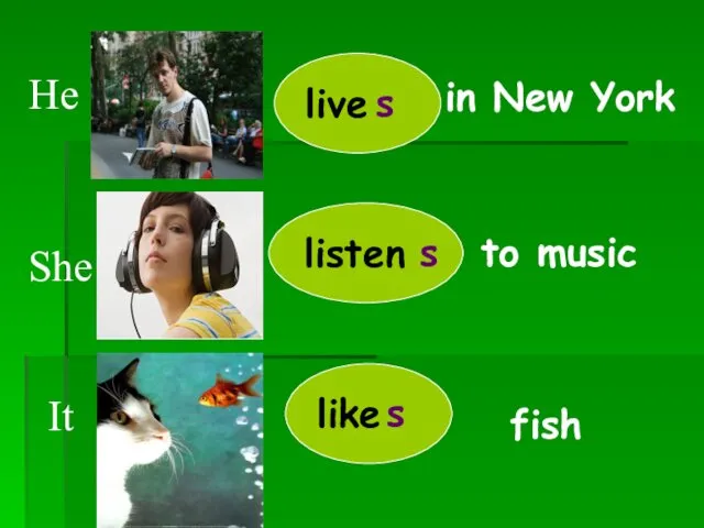 He It She live s listen s like s in New York to music fish