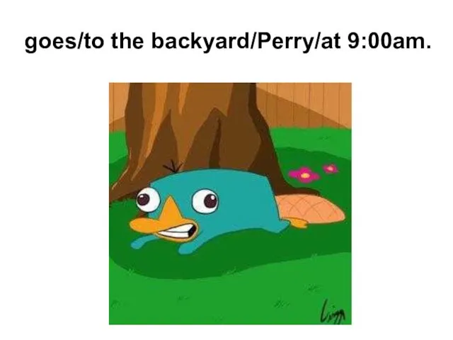 goes/to the backyard/Perry/at 9:00am.