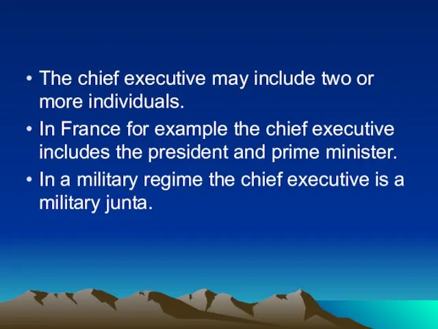 The chief executive may include two or more individuals. In