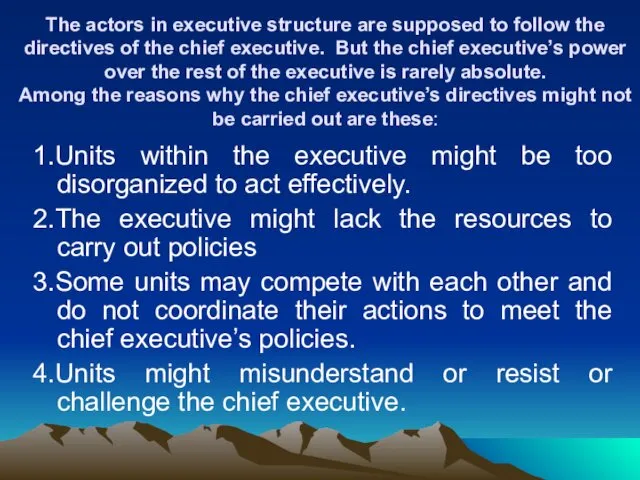 The actors in executive structure are supposed to follow the