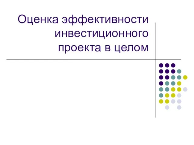 Оценка эффективности инвестиционного проекта в целом