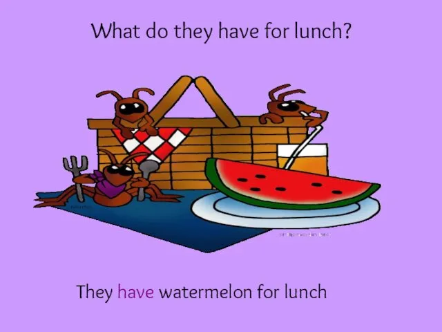 What do they have for lunch? They have watermelon for lunch