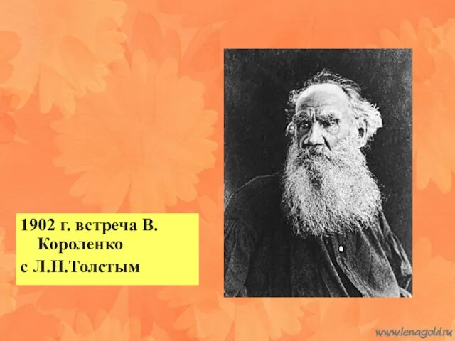 1902 г. встреча В.Короленко с Л.Н.Толстым