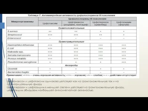 Цефтриаксон и цефотаксим одинаково действуют как на грамположительную так и