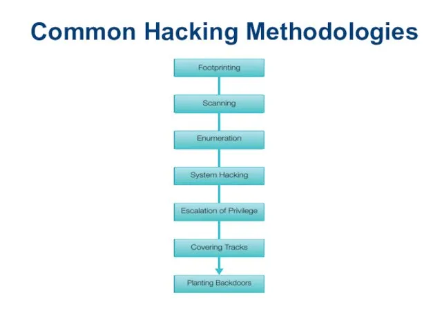 Common Hacking Methodologies