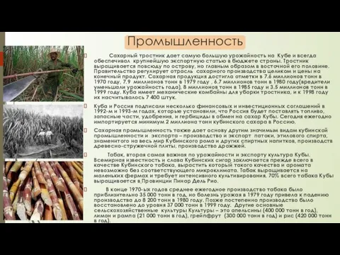 Промышленность Сахарный тростник дает самую большую урожайность на Кубе и