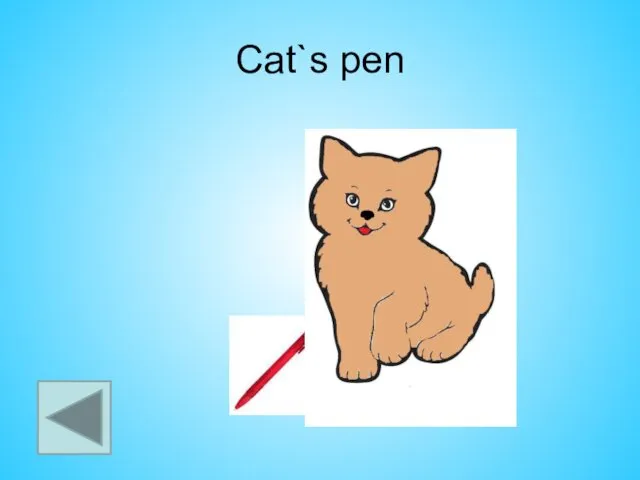 Cat`s pen