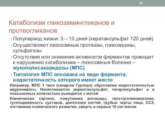 Катаболизм гликозамингликанов и протеогликанов Полупериод жизни: 3 – 10 дней