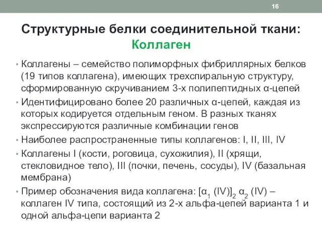 Структурные белки соединительной ткани: Коллаген Коллагены – семейство полиморфных фибриллярных