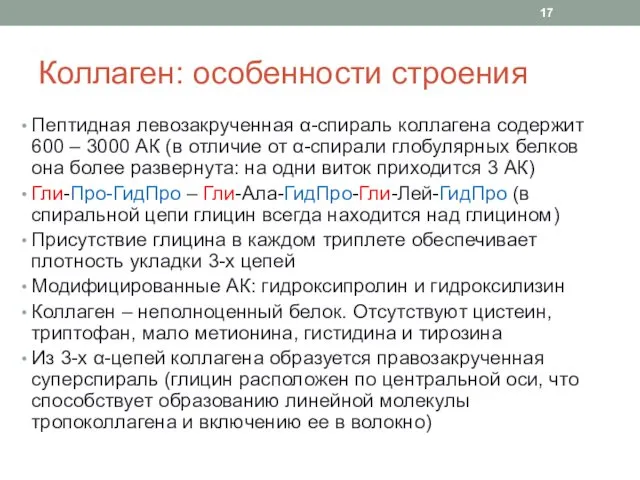 Коллаген: особенности строения Пептидная левозакрученная α-спираль коллагена содержит 600 –