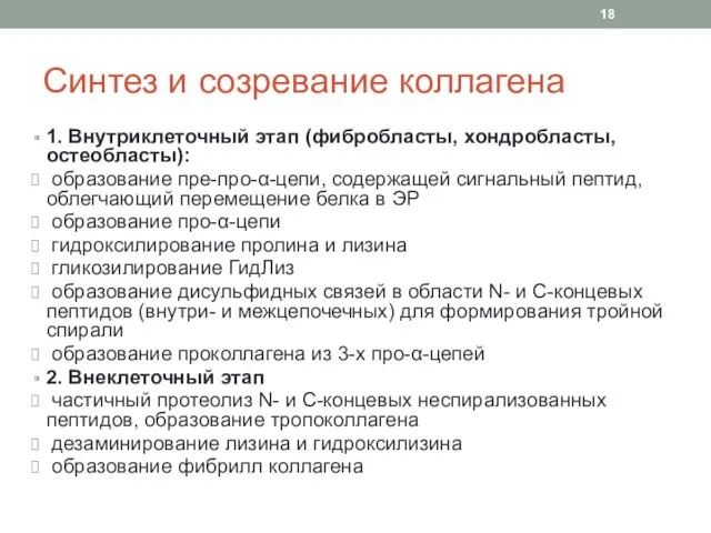 Синтез и созревание коллагена 1. Внутриклеточный этап (фибробласты, хондробласты, остеобласты):