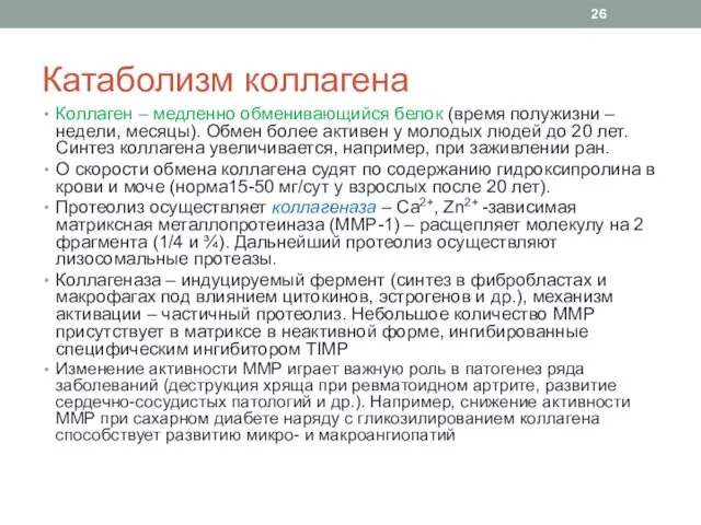 Катаболизм коллагена Коллаген – медленно обменивающийся белок (время полужизни –