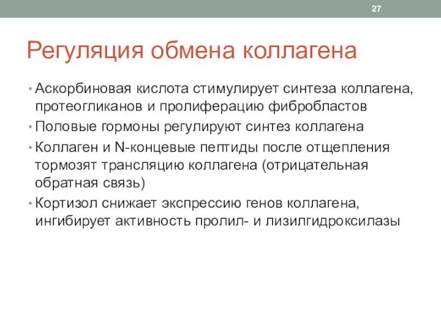 Регуляция обмена коллагена Аскорбиновая кислота стимулирует синтеза коллагена, протеогликанов и