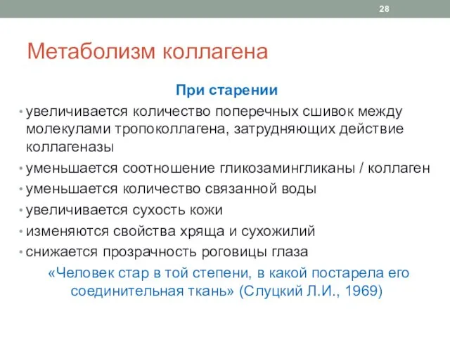 Метаболизм коллагена При старении увеличивается количество поперечных сшивок между молекулами