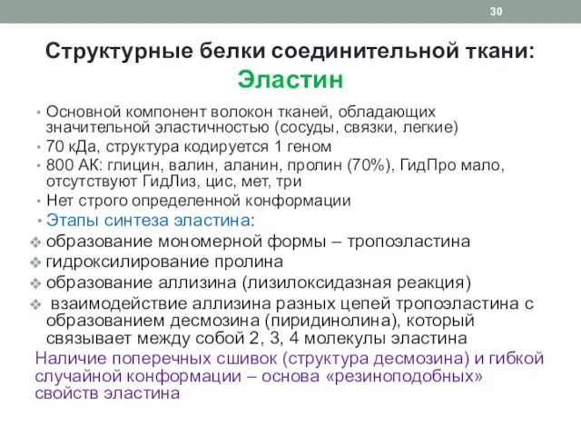 Структурные белки соединительной ткани: Эластин Основной компонент волокон тканей, обладающих