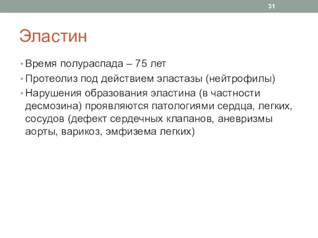 Эластин Время полураспада – 75 лет Протеолиз под действием эластазы