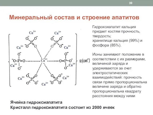 Минеральный состав и строение апатитов Ячейка гидроксиапатита Кристалл гидроксиапатита состоит