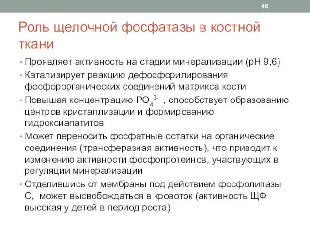 Роль щелочной фосфатазы в костной ткани Проявляет активность на стадии