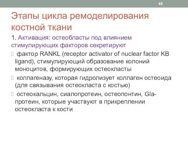 Этапы цикла ремоделирования костной ткани 1. Активация: остеобласты под влиянием