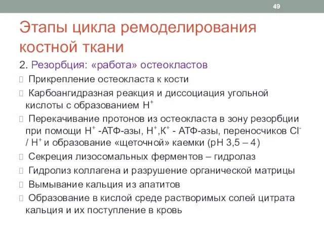 Этапы цикла ремоделирования костной ткани 2. Резорбция: «работа» остеокластов Прикрепление