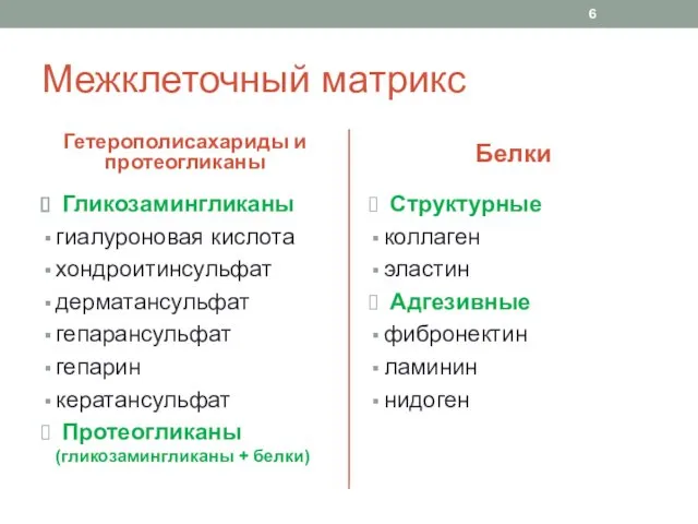 Межклеточный матрикс Гетерополисахариды и протеогликаны Гликозамингликаны гиалуроновая кислота хондроитинсульфат дерматансульфат