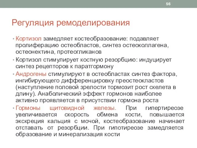 Регуляция ремоделирования Кортизол замедляет костеобразование: подавляет пролиферацию остеобластов, синтез остеоколлагена,