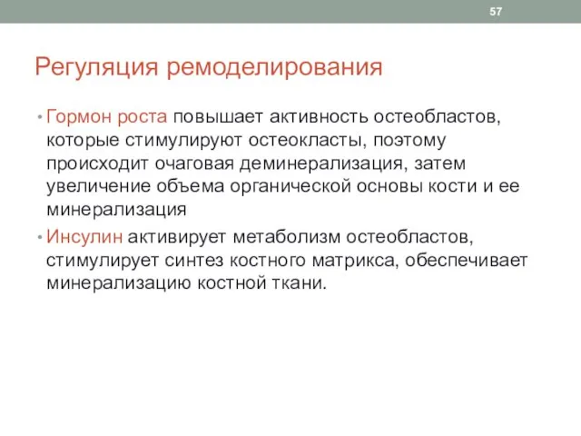 Регуляция ремоделирования Гормон роста повышает активность остеобластов, которые стимулируют остеокласты,