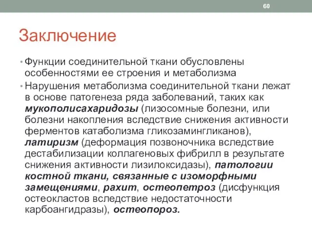 Заключение Функции соединительной ткани обусловлены особенностями ее строения и метаболизма