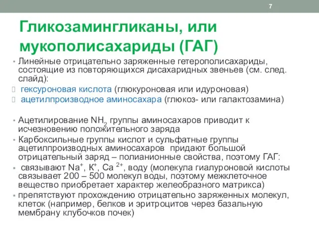 Гликозамингликаны, или мукополисахариды (ГАГ) Линейные отрицательно заряженные гетерополисахариды, состоящие из