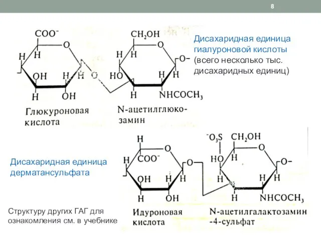 Дисахаридная единица гиалуроновой кислоты (всего несколько тыс. дисахаридных единиц) Дисахаридная