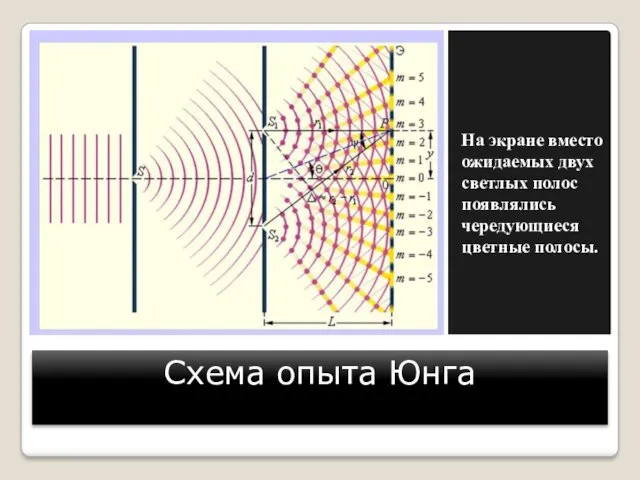 Схема опыта Юнга На экране вместо ожидаемых двух светлых полос появлялись чередующиеся цветные полосы.