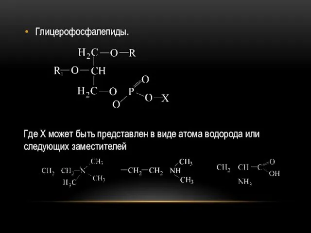 Глицерофосфалепиды. Где X может быть представлен в виде атома водорода или следующих заместителей