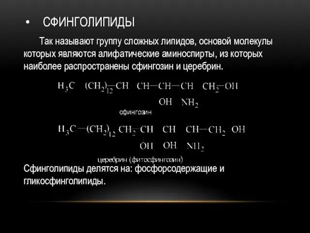 СФИНГОЛИПИДЫ Так называют группу сложных липидов, основой молекулы которых являются