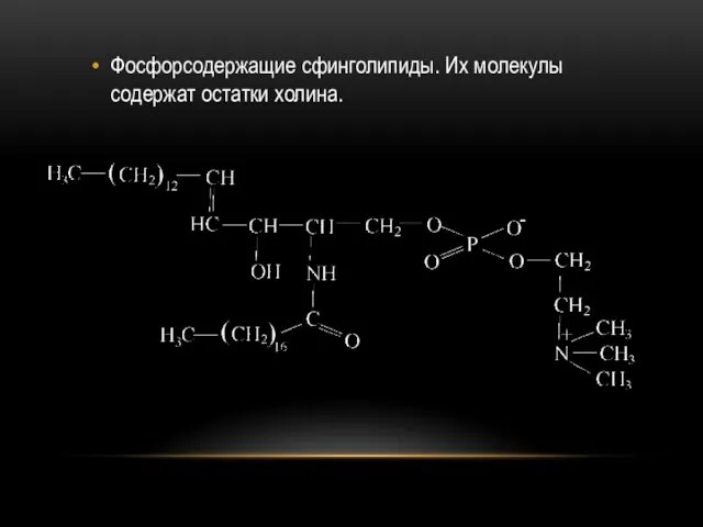 Фосфорсодержащие сфинголипиды. Их молекулы содержат остатки холина.