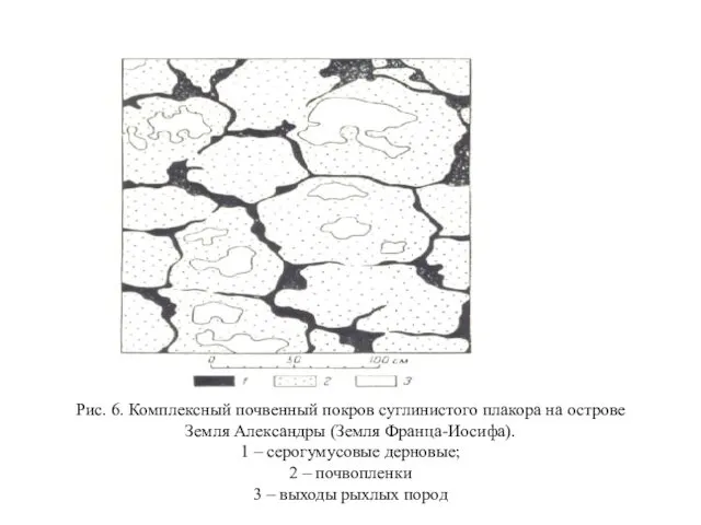 Рис. 6. Комплексный почвенный покров суглинистого плакора на острове Земля