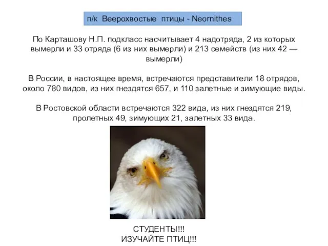 п/к Веерохвостые птицы - Neornithes По Карташову Н.П. подкласс насчитывает