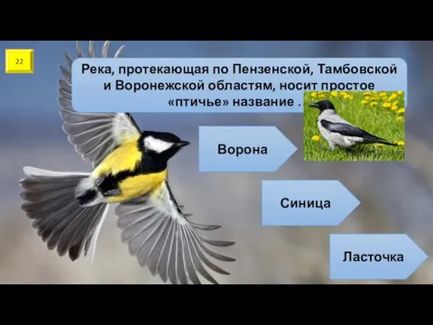 22 Река, протекающая по Пензенской, Тамбовской и Воронежской областям, носит