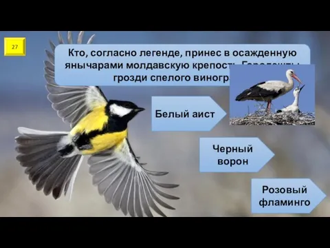 27 Кто, согласно легенде, принес в осажденную янычарами молдавскую крепость